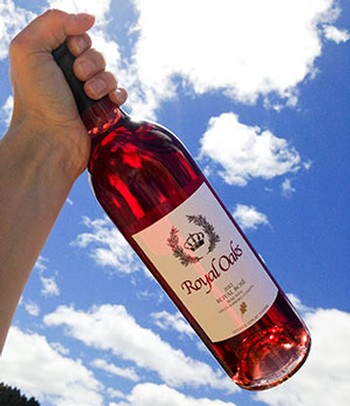 Rose of Syrah 2011